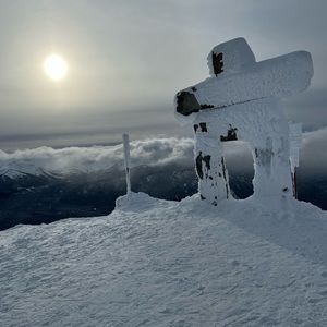 Meet your Posher, Liam